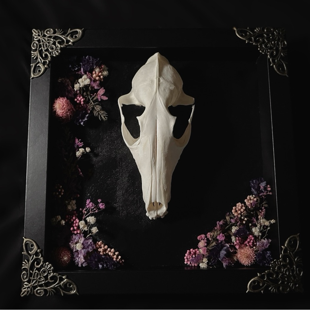 🖤SOLD🖤